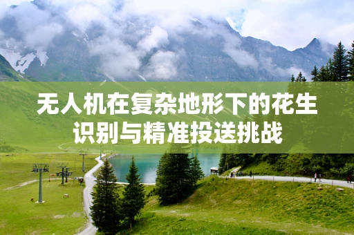 无人机在复杂地形下的花生识别与精准投送挑战