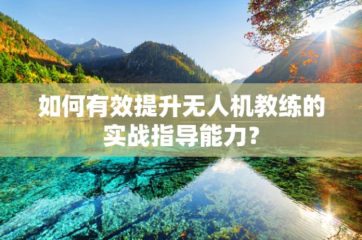 如何有效提升无人机教练的实战指导能力？