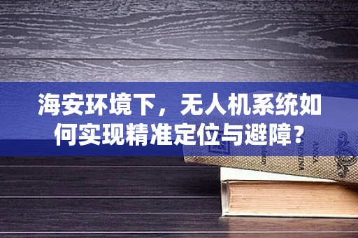海安环境下，无人机系统如何实现精准定位与避障？