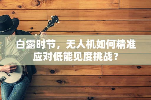 白露时节，无人机如何精准应对低能见度挑战？