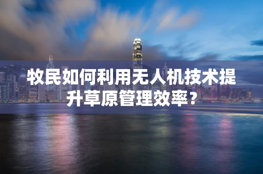 牧民如何利用无人机技术提升草原管理效率？