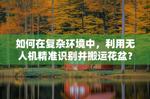 如何在复杂环境中，利用无人机精准识别并搬运花盆？