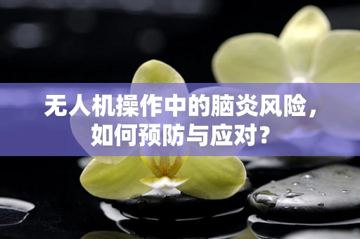 无人机操作中的脑炎风险，如何预防与应对？