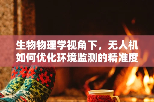 生物物理学视角下，无人机如何优化环境监测的精准度？