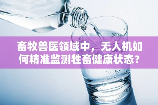 畜牧兽医领域中，无人机如何精准监测牲畜健康状态？