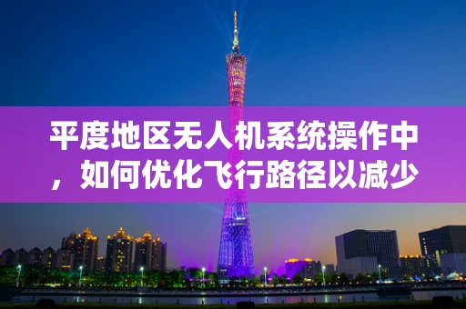 平度地区无人机系统操作中，如何优化飞行路径以减少地形干扰？