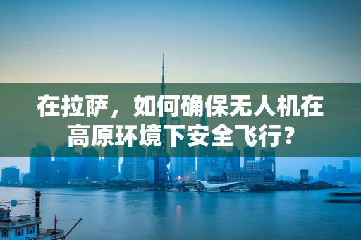 在拉萨，如何确保无人机在高原环境下安全飞行？