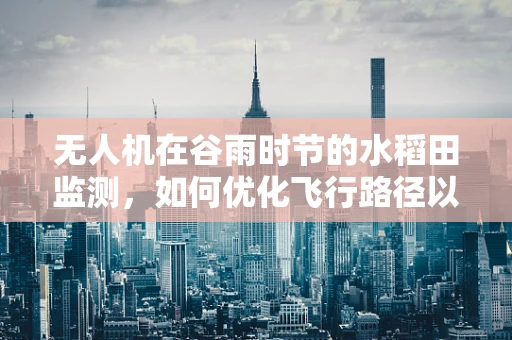 无人机在谷雨时节的水稻田监测，如何优化飞行路径以减少对作物的影响？