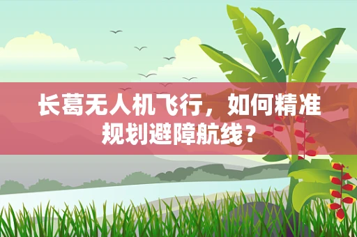 长葛无人机飞行，如何精准规划避障航线？