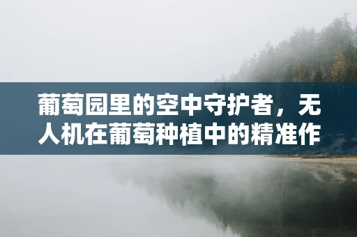 葡萄园里的空中守护者，无人机在葡萄种植中的精准作业如何实现？