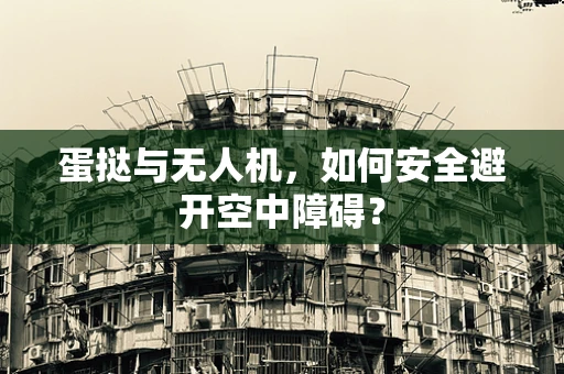 蛋挞与无人机，如何安全避开空中障碍？