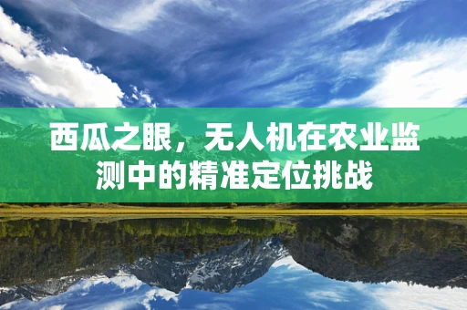 西瓜之眼，无人机在农业监测中的精准定位挑战