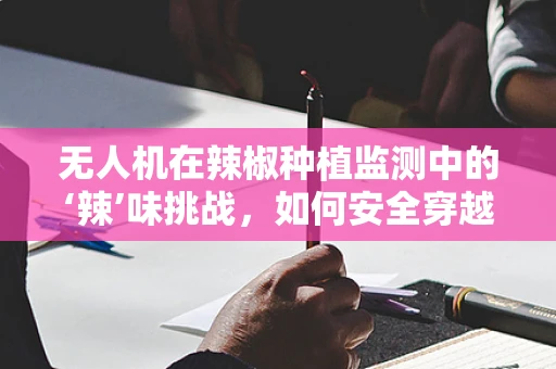 无人机在辣椒种植监测中的‘辣’味挑战，如何安全穿越辣椒地而不被‘辣’到？