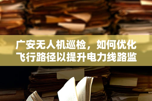 广安无人机巡检，如何优化飞行路径以提升电力线路监测效率？