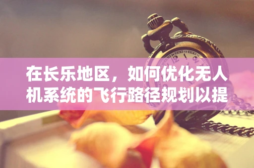 在长乐地区，如何优化无人机系统的飞行路径规划以提升作业效率？
