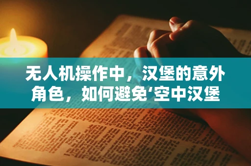 无人机操作中，汉堡的意外角色，如何避免‘空中汉堡’事件？