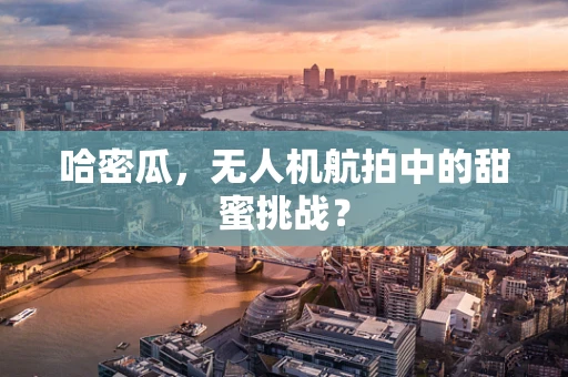 哈密瓜，无人机航拍中的甜蜜挑战？