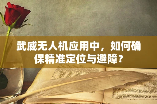 武威无人机应用中，如何确保精准定位与避障？