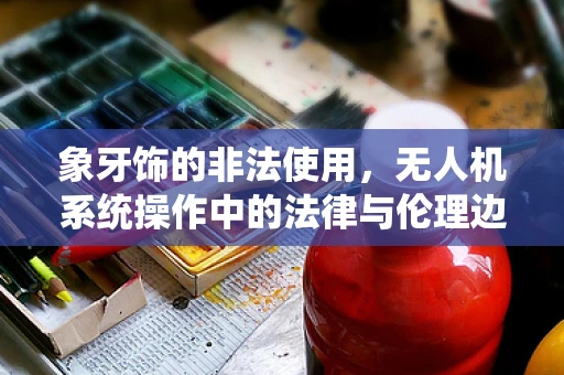 象牙饰的非法使用，无人机系统操作中的法律与伦理边界