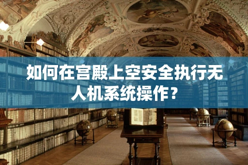 如何在宫殿上空安全执行无人机系统操作？