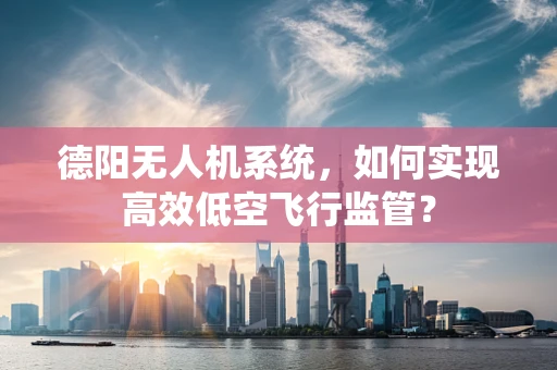 德阳无人机系统，如何实现高效低空飞行监管？