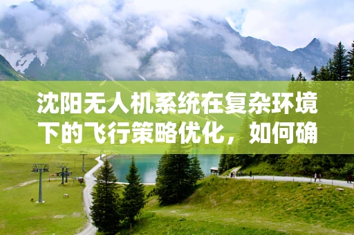 沈阳无人机系统在复杂环境下的飞行策略优化，如何确保安全与效率？