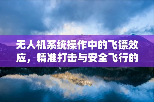 无人机系统操作中的飞镖效应，精准打击与安全飞行的平衡