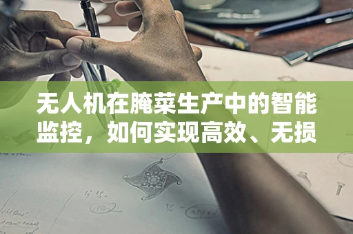 无人机在腌菜生产中的智能监控，如何实现高效、无损的作物监测？