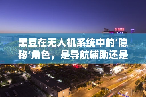 黑豆在无人机系统中的‘隐秘’角色，是导航辅助还是误打误撞的巧合？