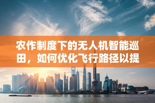 农作制度下的无人机智能巡田，如何优化飞行路径以提升作物监测效率？