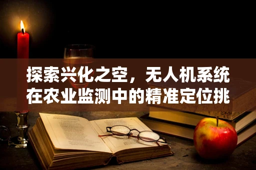 探索兴化之空，无人机系统在农业监测中的精准定位挑战