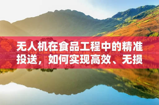 无人机在食品工程中的精准投送，如何实现高效、无损的物资配送？