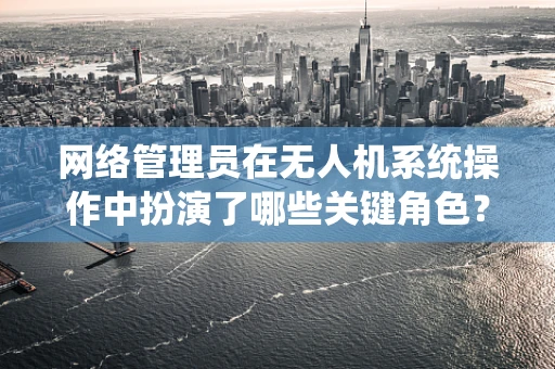 网络管理员在无人机系统操作中扮演了哪些关键角色？