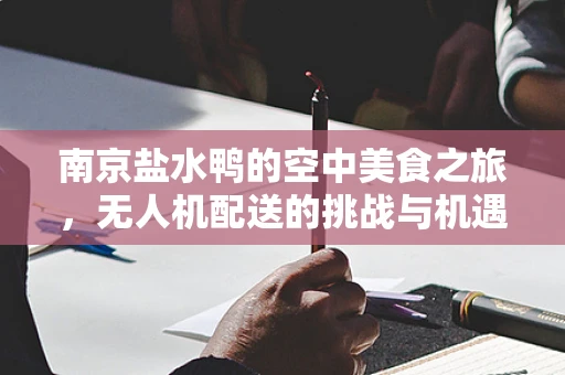 南京盐水鸭的空中美食之旅，无人机配送的挑战与机遇