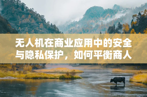 无人机在商业应用中的安全与隐私保护，如何平衡商人与用户权益？