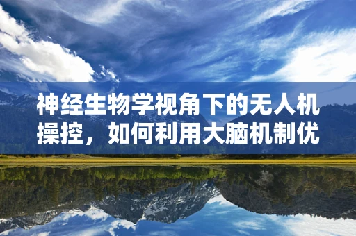 神经生物学视角下的无人机操控，如何利用大脑机制优化飞行控制？