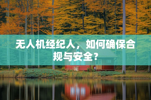 无人机经纪人，如何确保合规与安全？