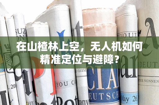 在山楂林上空，无人机如何精准定位与避障？