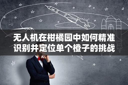 无人机在柑橘园中如何精准识别并定位单个橙子的挑战？