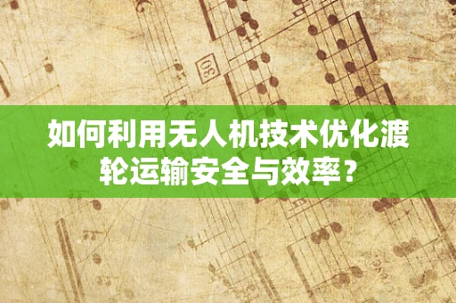 如何利用无人机技术优化渡轮运输安全与效率？