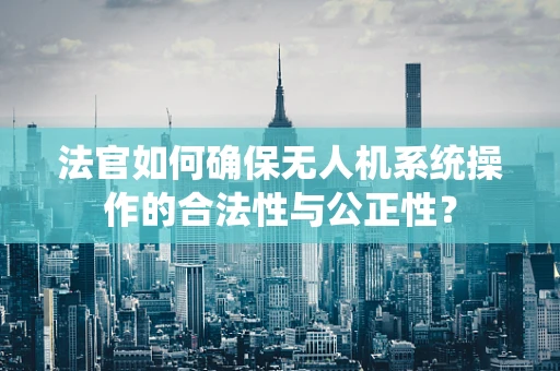 法官如何确保无人机系统操作的合法性与公正性？