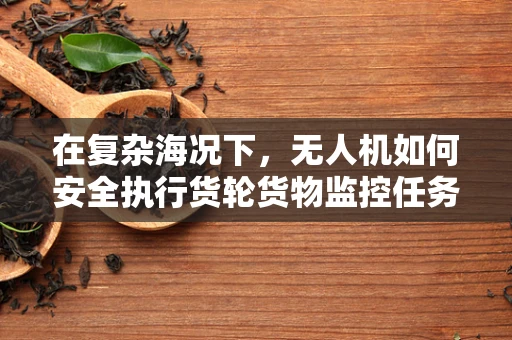 在复杂海况下，无人机如何安全执行货轮货物监控任务？