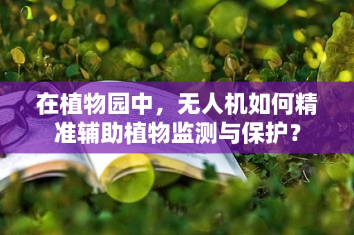 在植物园中，无人机如何精准辅助植物监测与保护？