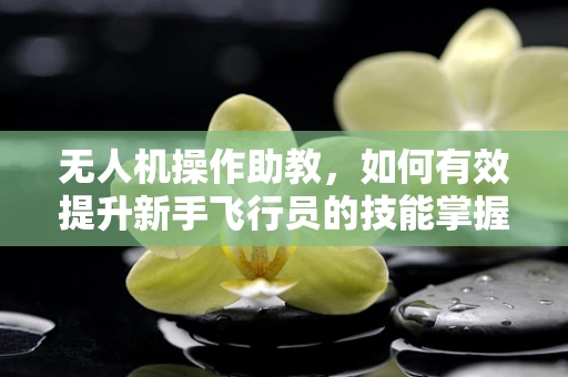 无人机操作助教，如何有效提升新手飞行员的技能掌握？