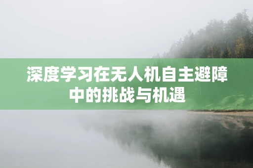 深度学习在无人机自主避障中的挑战与机遇
