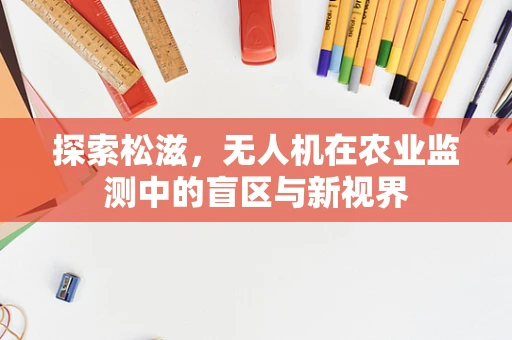 探索松滋，无人机在农业监测中的盲区与新视界
