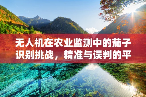 无人机在农业监测中的茄子识别挑战，精准与误判的平衡