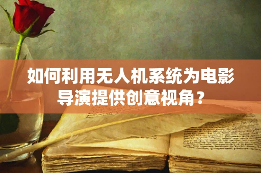 如何利用无人机系统为电影导演提供创意视角？