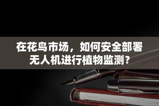 在花鸟市场，如何安全部署无人机进行植物监测？