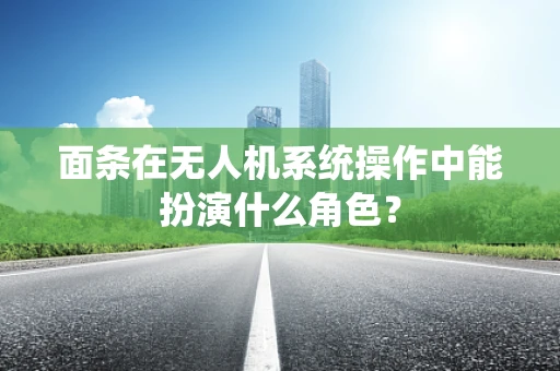 面条在无人机系统操作中能扮演什么角色？